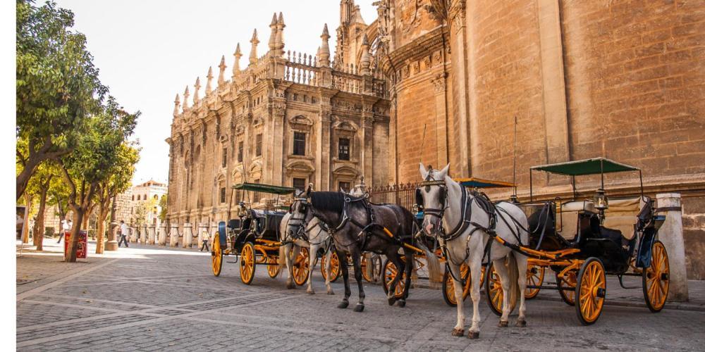 Chic Casa Cathedral At Calle Fresca 2-Bedroom Apartment In Malaga City Center エクステリア 写真